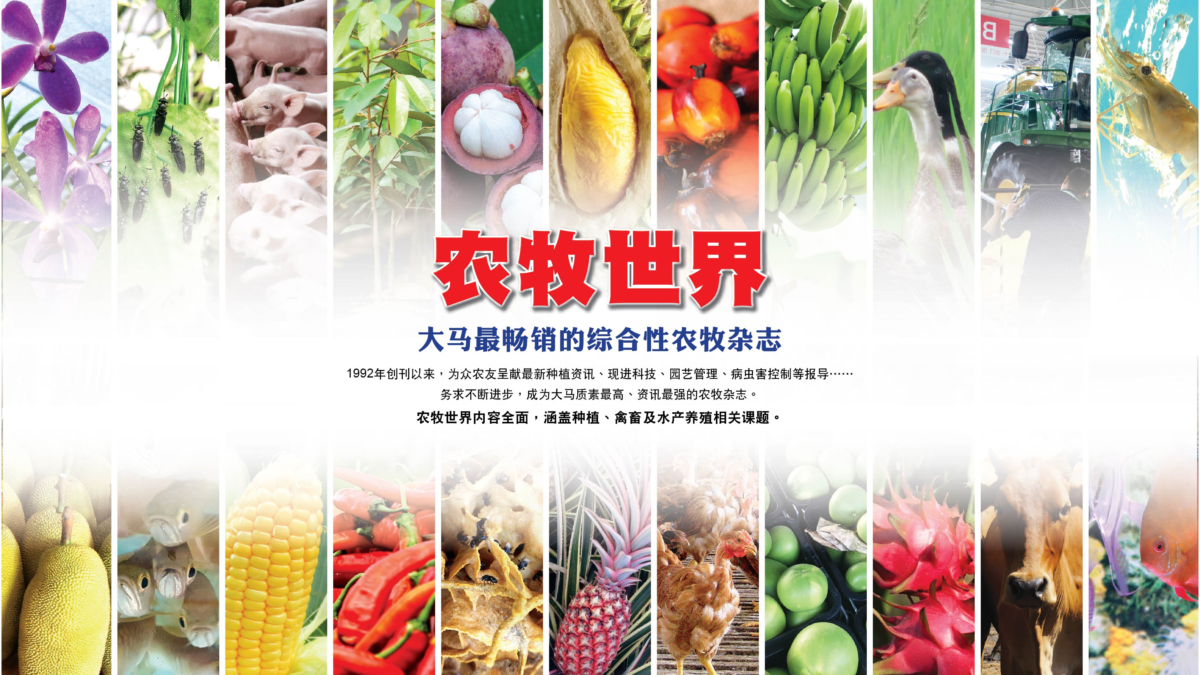 Media Company | AG Exhibition SDN BHD