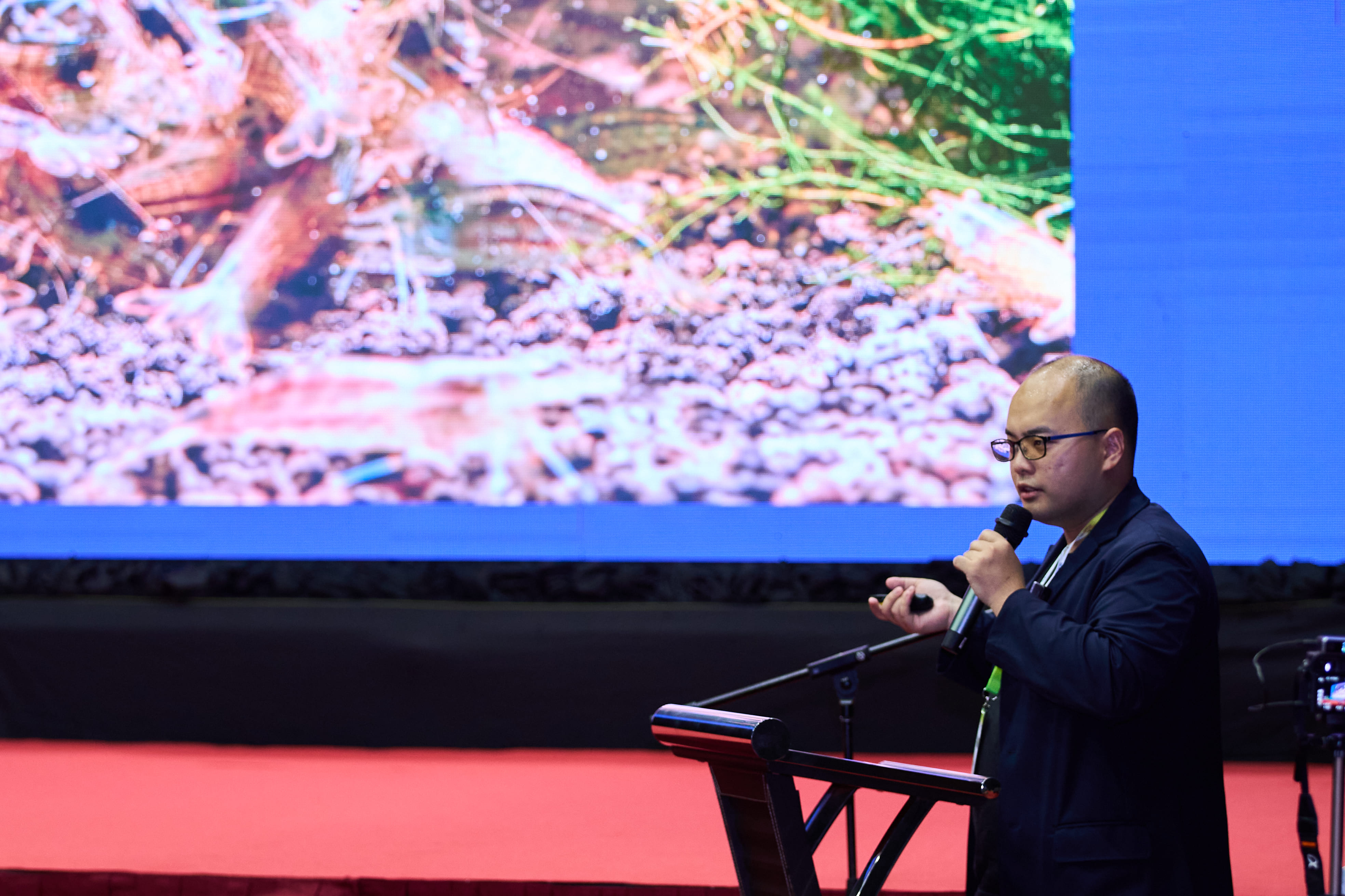 SCCC 2025 - 6 | AG Exhibition SDN BHD